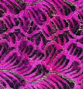 Designer net in hot pink color.